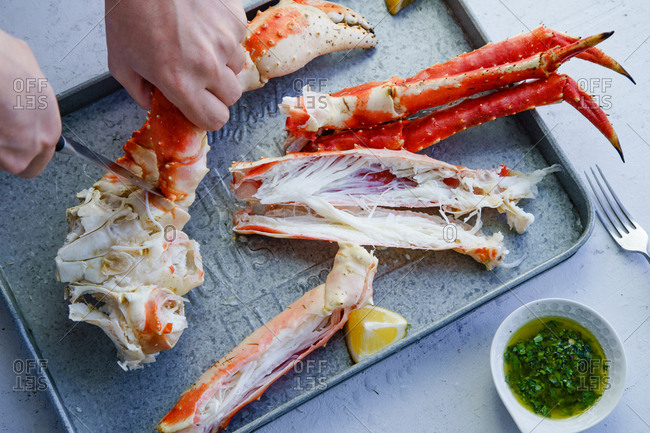 Male hands cutting cooked king crab legs