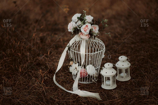 Birdcage and roses