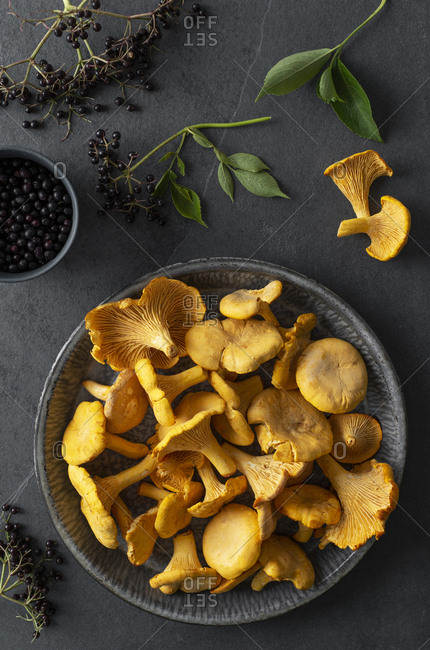 Freshly foraged chanterelles and elderberries on a slate surface.