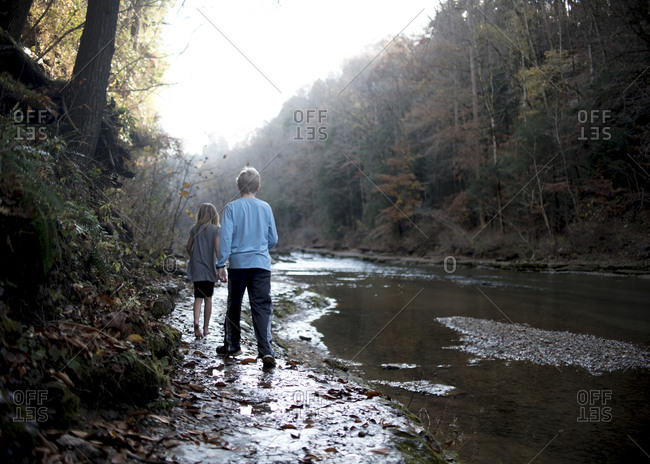 Rear view of siblings walking at riverbank against trees in forest
