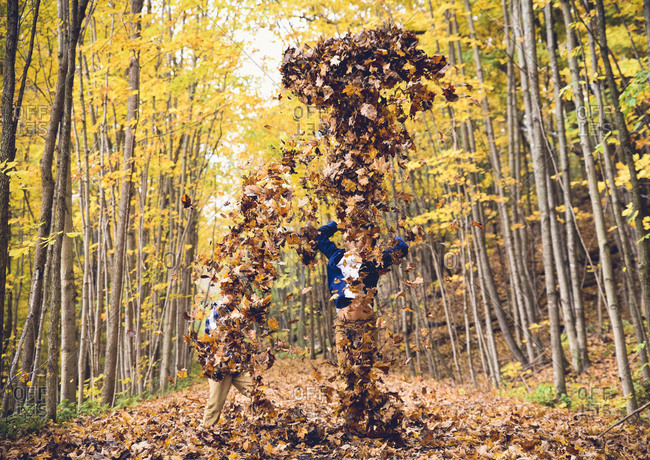 Playful brothers throwing dry leaves in mid air at forest