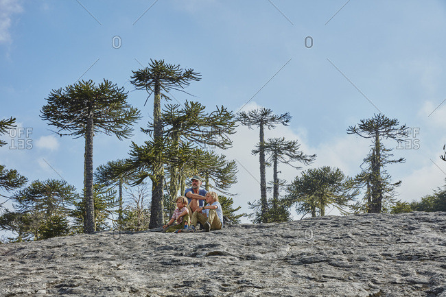 Nahuelbuta National Park and the Araucaria trees