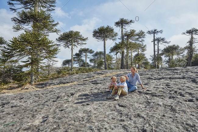 Nahuelbuta National Park and the Araucaria trees