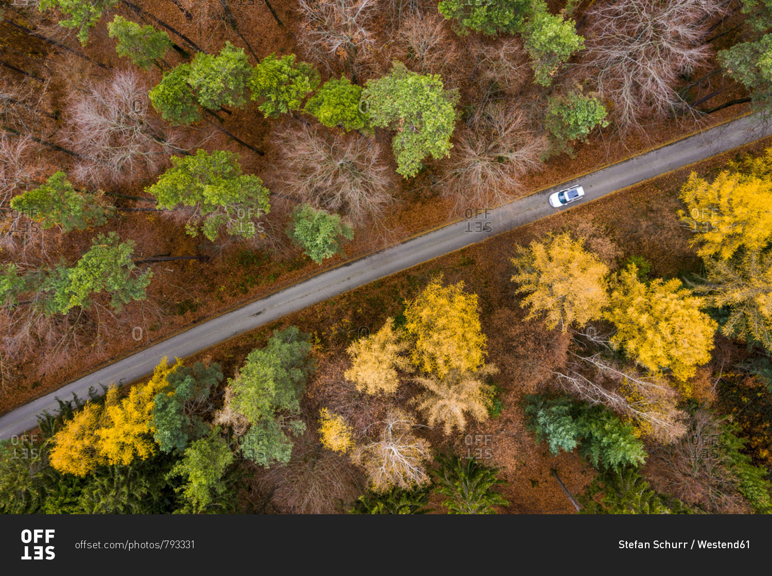 Germany- Baden-Wuerttemberg- Swabian Franconian forest- Aerial view of forest in autumn- forest road