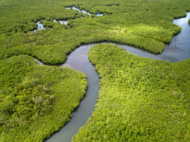 Aerial view of mangroves in Siargao, Philippines