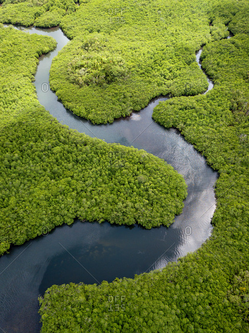 Aerial view of mangroves in Siargao, Philippines