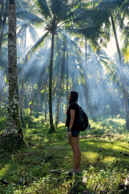 Woman in a palm trees field in smoke with sun rays in Siargao, Philippines