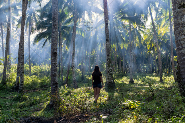Woman in a palm trees field in smoke with sun rays in Siargao, Philippines