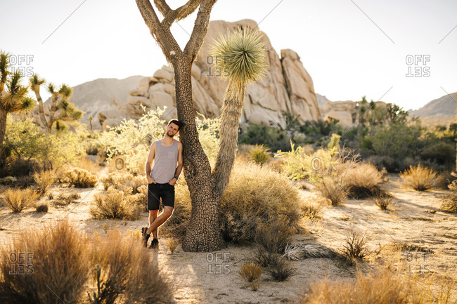 USA- California- Los Angeles- smiling man leaning against Joshua Tree in Joshua Tree National Park