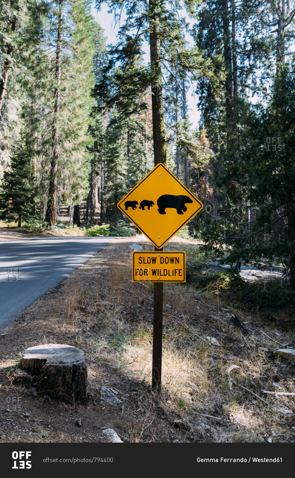 USA- California- Sequoia Natioal Park- Animal Crossing Sign- family of mum and baby bears