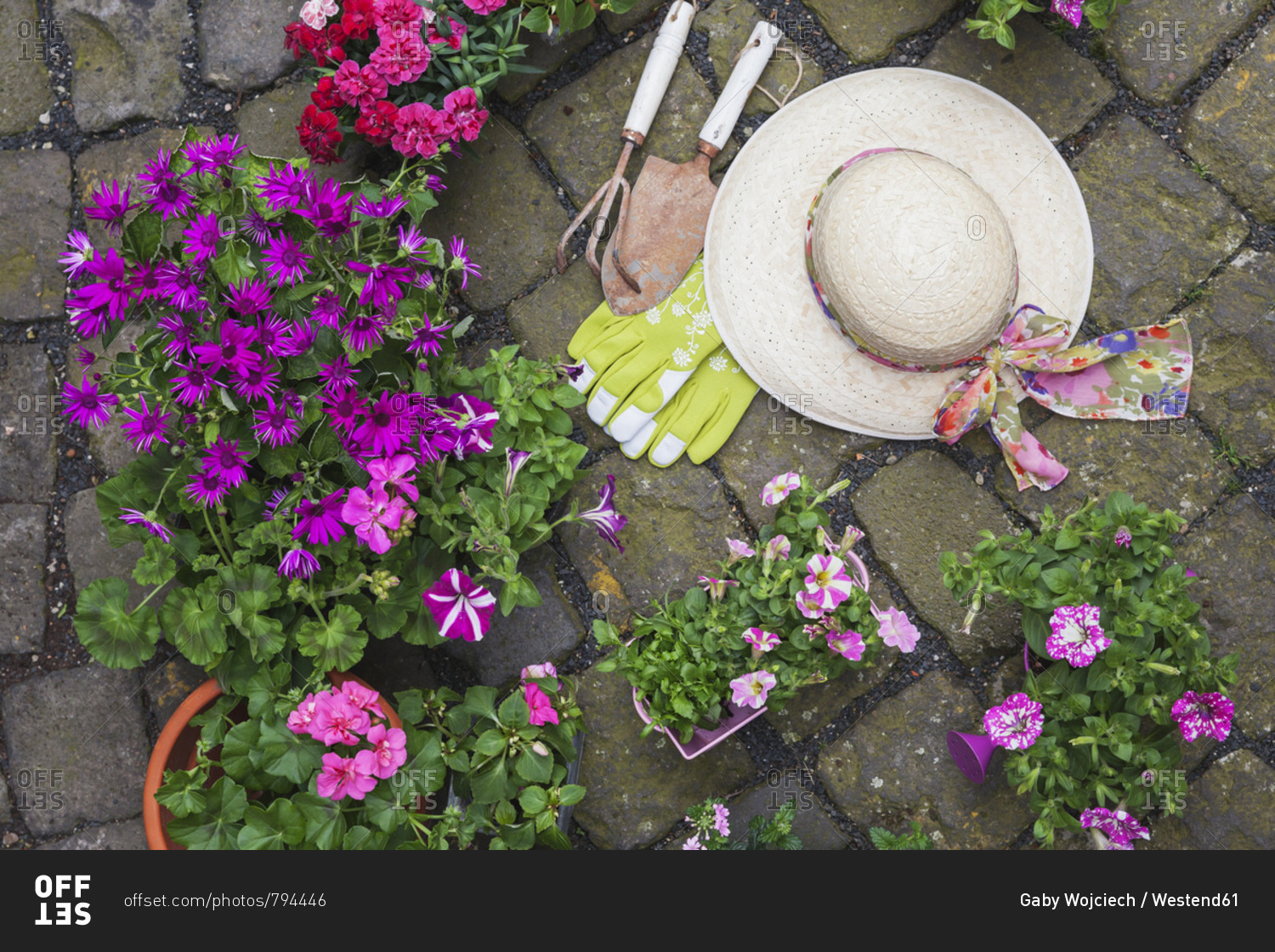 Various potted spring and summer flowers- straw hat- gardening tools and gloves on cabblestone pavement