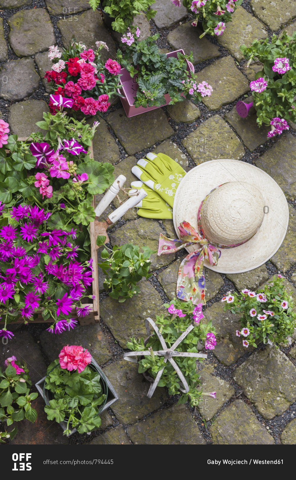 Various potted spring and summer flowers- straw hat- gardening tools and gloves on cabblestone pavement