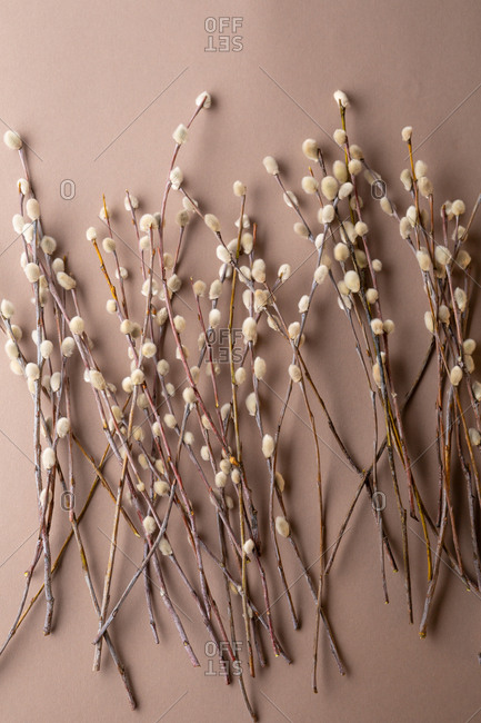 Straight Willow Branches - Natural