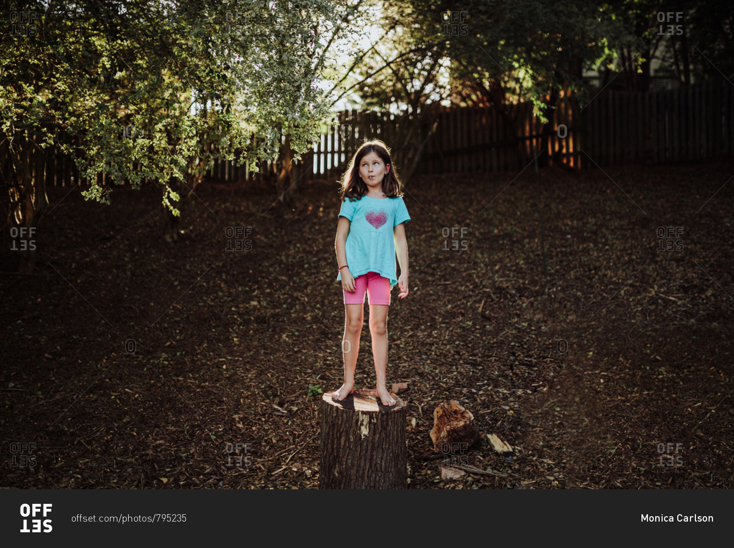 Girl stands on a tree stump stock photo - OFFSET