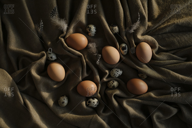 Multiple eggs and feathers set on brown sheet