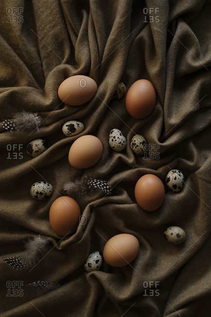 Multiple eggs and feathers set on brown sheet