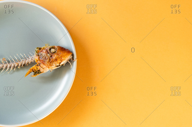 Skeleton of yummy consumed fish lying on ceramic plate on black background