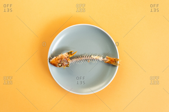 Skeleton of yummy consumed fish lying on ceramic plate on yellow background