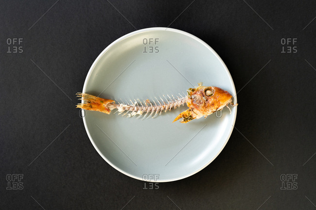 Skeleton of yummy consumed fish lying on ceramic plate on black background