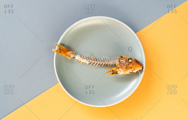Skeleton of yummy consumed fish lying on ceramic plate on yellow background