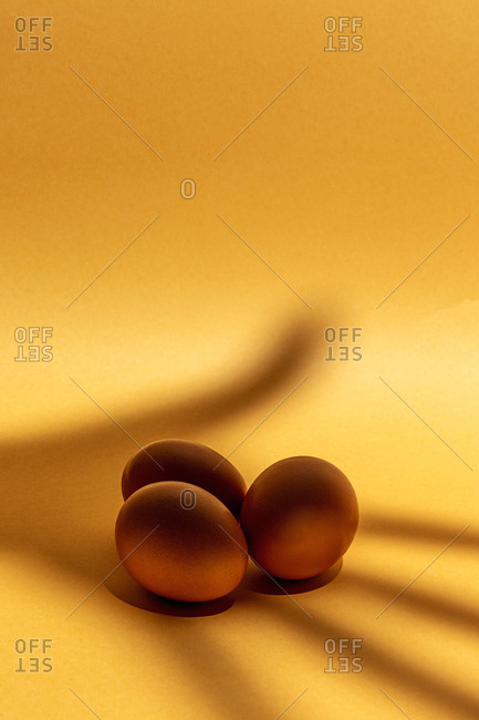 Fresh raw eggs on brown background. Effects of lights and shadows. Isolated