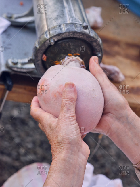 Crop senior person using professional machine to make yummy sausage from minced meat and animal guts