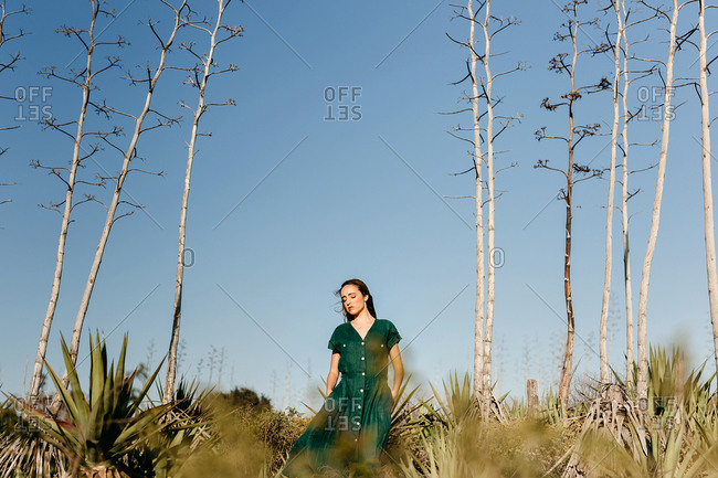 Pretty young model in green dress with eyes closed while standing near thin exotic trees and bushes on sunny day in nature