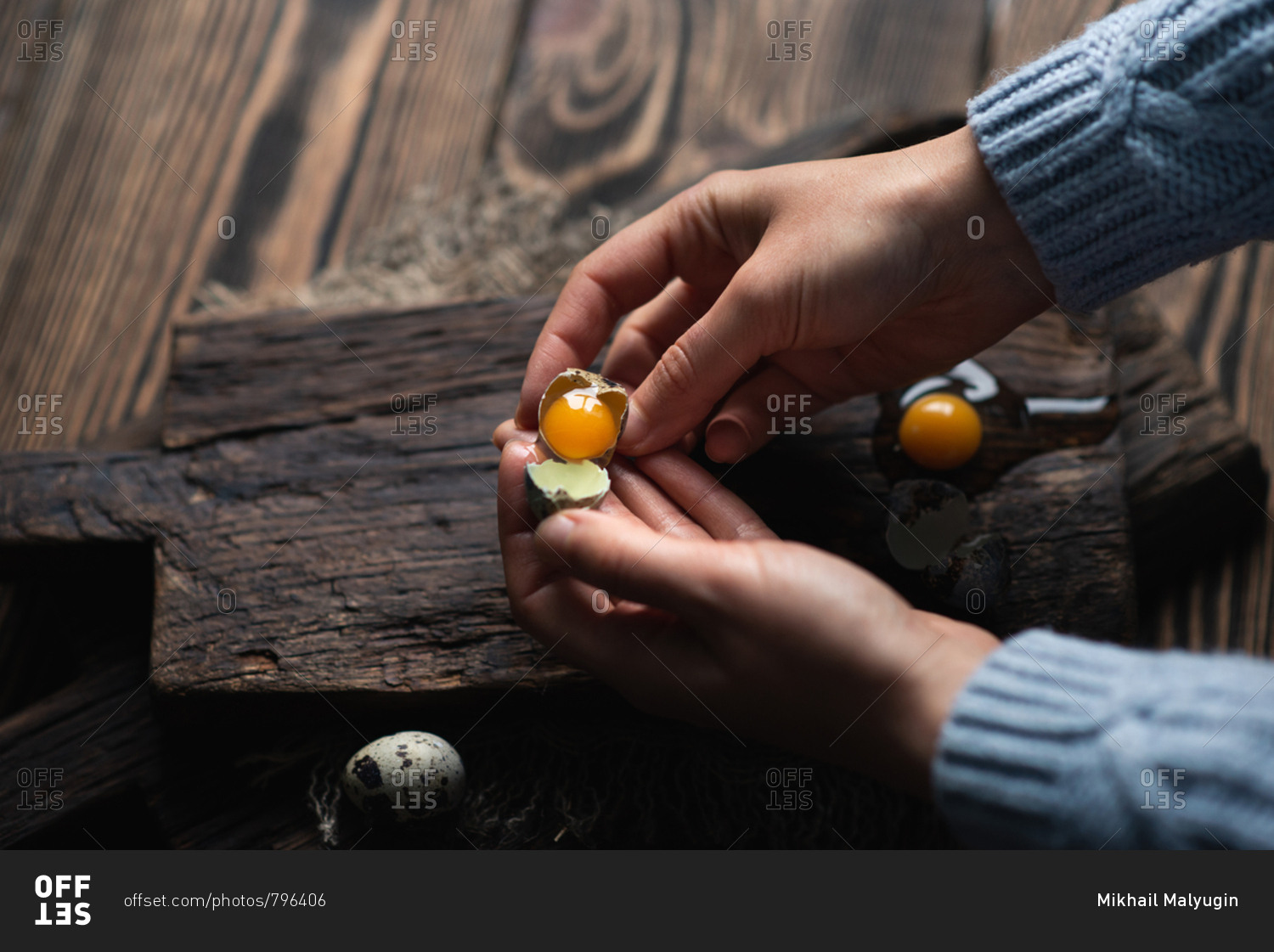 Unrecognizable woman holding broken quail egg with bright yolk in her hands over dark wooden background, view from above