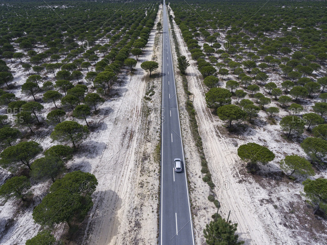 Car driving on a rural road