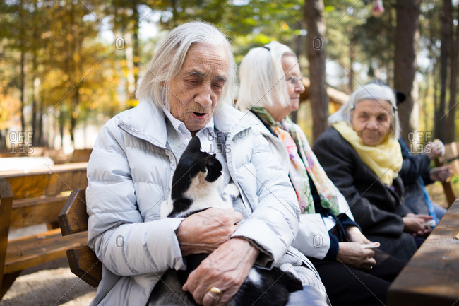 Senior citizens enjoy a day at the park