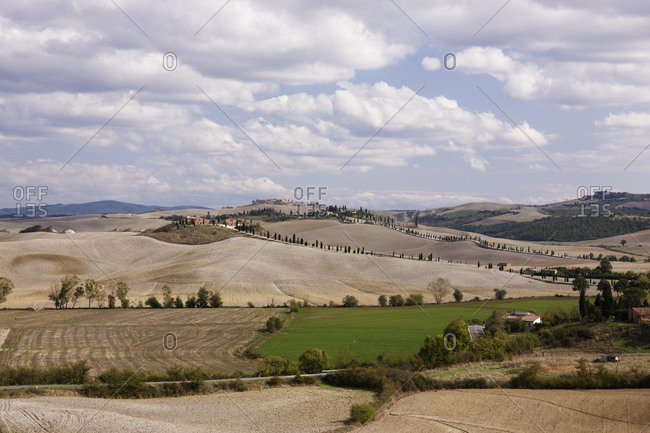 Farm Fields,Tuscany, Italy