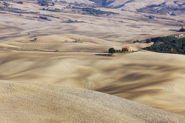 Farm Fields,Val D'Orcia, Tuscany, Italy