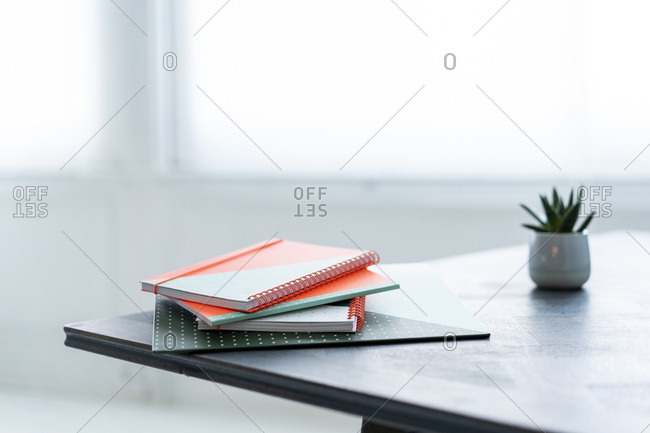 Stack of notebooks and potted plant on a table