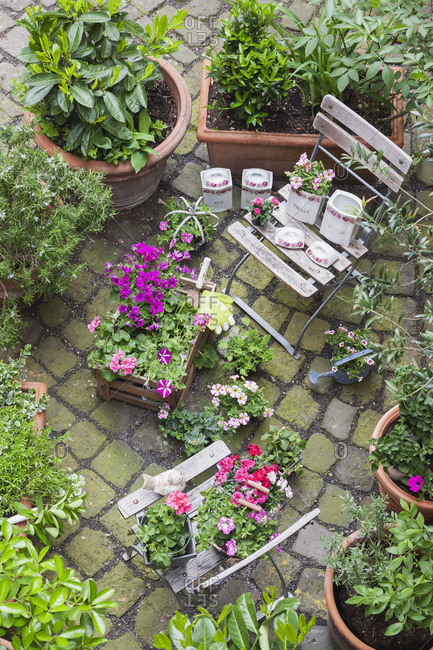 Various potted spring and summer plants ready for planting in a garden- bird's eye view