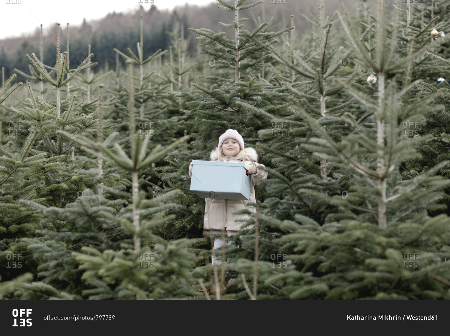 Girl carrying gift box on a Christmas tree plantation