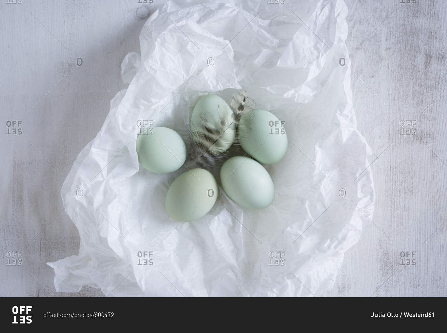 Five green eggs and a feather on white tissue paper