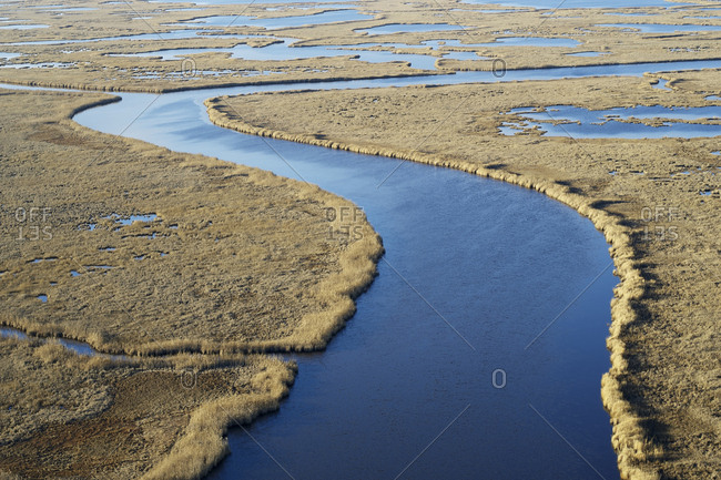 USA- Maryland- Cambridge- Blackwater National Wildlife Refuge- Blackwater River- Blackwater Refuge is experiencing sea level rise that is flooding this marsh