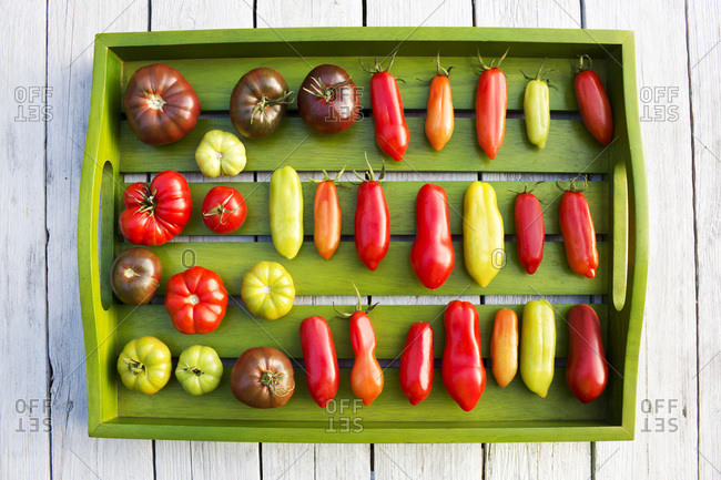 Wooden tray with various tomatoes- stage of ripeness- unripe and ripe