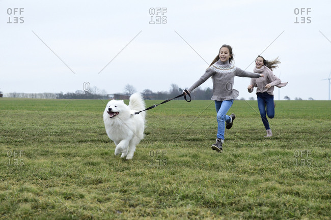 Two girls running on a meadow with  dog having fun