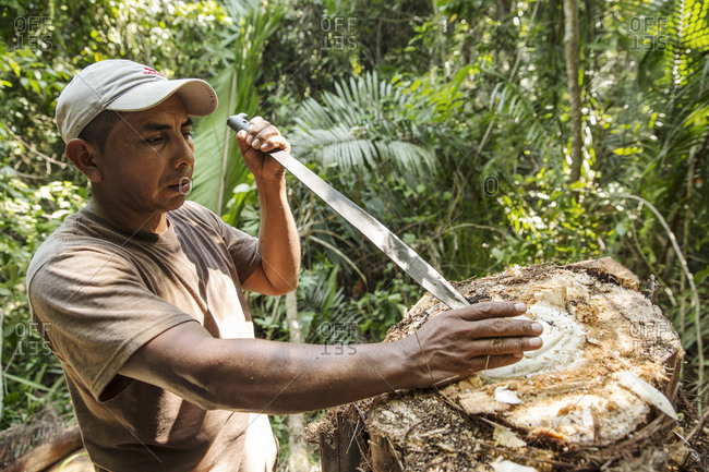 May 28, 2014: BELIZE, Punta Gorda, Toledo, guests can participate in a Jungle Mixology Demo where they'll be shown how to combine farm fresh ingrediants with an array of Caribbean rums and local spirits, Belcampo Belize Lodge and Jungle Farm