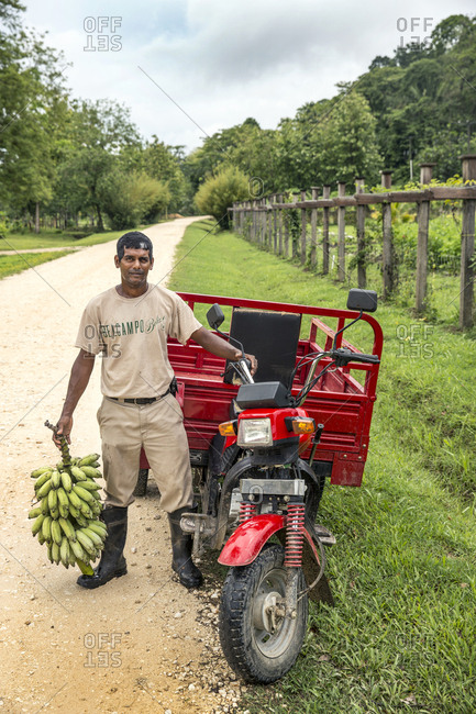 May 30, 2014: BELIZE, Punta Gorda, Toledo, Belcampo Belize Lodge and Jungle Farm offers a a farm to table cuisine supplied by their own organic farm, they do their best to offer a real experience of Belize flavors