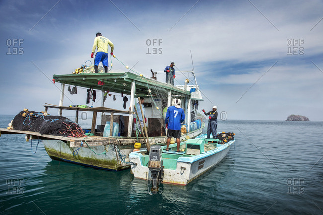 March 25, 2014: GALAPAGOS ISLANDS, ECUADOR, Isabela Island, frigate birds fly around a fishing boat near Elisabeth Bay