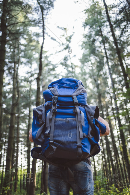 Hiker man with a big backpack in the forest - from behind