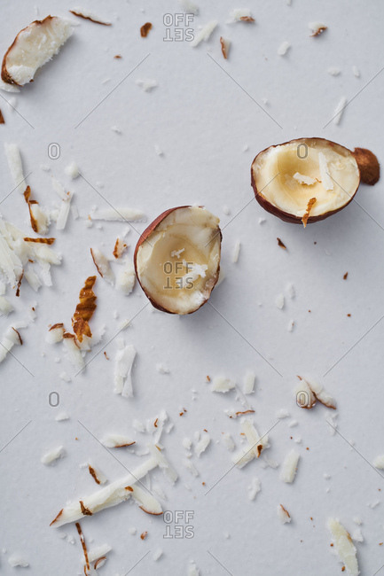 Close up of hazelnut