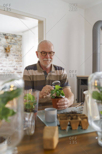 Senior man making glass biotopes at home