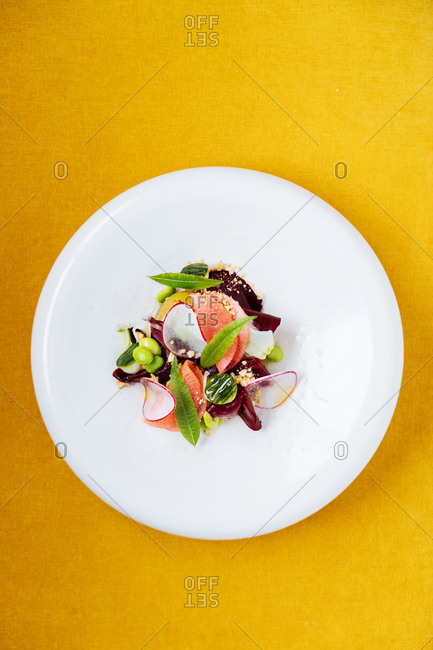 Gourmet vegetarian dish on yellow background