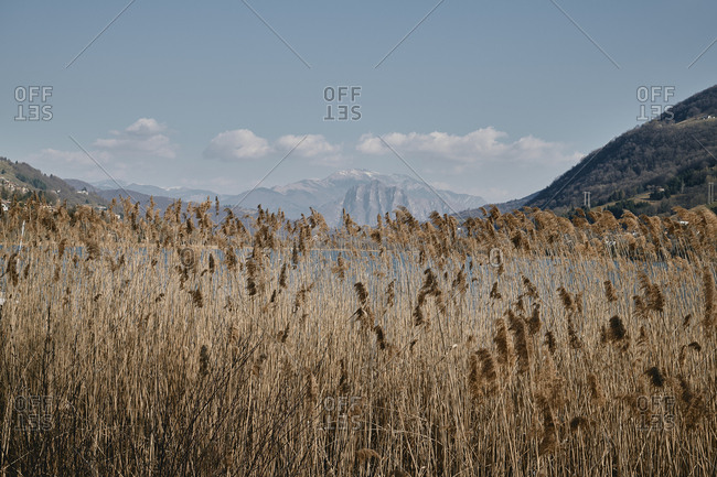 landscape of a lake in the Italian Alps in spring
