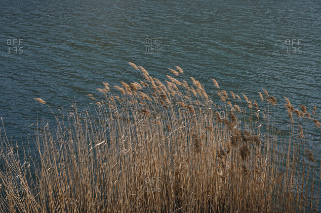 landscape of a lake in the Italian Alps in spring