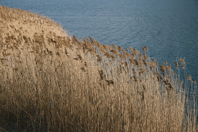 landscape of a lake in the Italian Alps in spring
