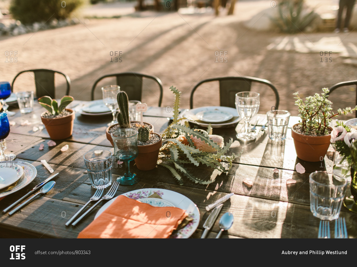 Table setting in the desert with cactus center piece